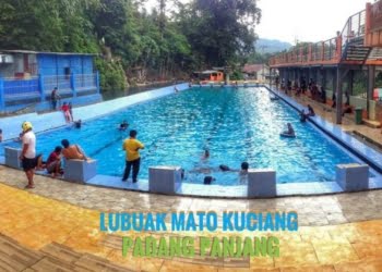 Lubuk mata kucing