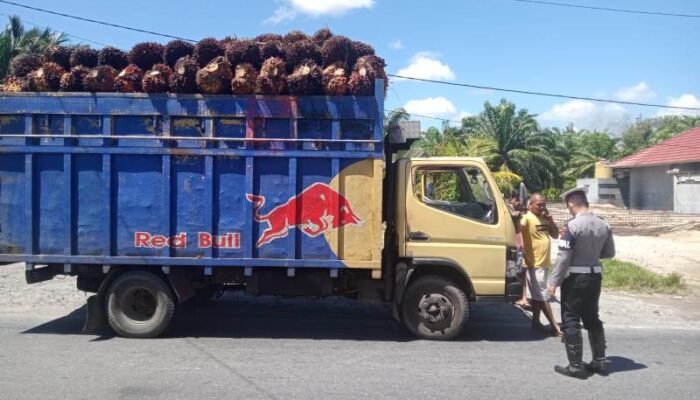 Satlantas Agam Tertibkan Truk Pengangkut Sawit