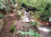 Temui Wamentan, Bupati Pasbar Laporkan Warganya Tak Bisa Bertani Karena 193 Irigasi Tersier Masih Rusak Pasca-Gempa