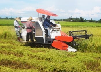 Gubernur Sumbar Dukung Program Agro Solution Mendorong Terwujudnya Modernisasi Pertanian