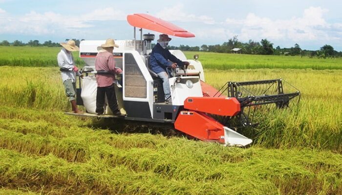 Gubernur Sumbar Dukung Program Agro Solution Mendorong Terwujudnya Modernisasi Pertanian