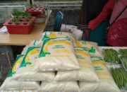 Petani Padang Panjang Dilatih Cara Memasarkan Padi dan Kompos Organik