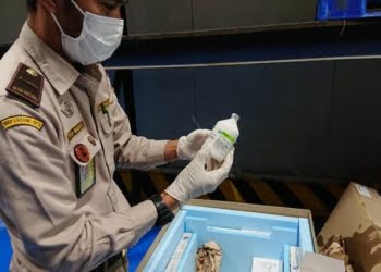 Siap-siap! Pemerintah Sebar 3 Juta Vaksin Darurat untuk Atasi Wabah PMK