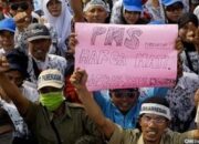Masa Depan Guru Honor Belum Jelas, PGRI Desak Pemerintah Segera Jadikan ASN