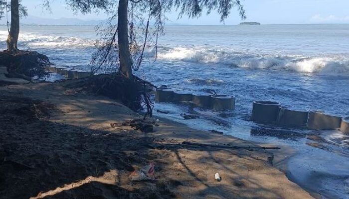 2.350 KK di Tanjung Mutiara Agam Tinggal di Wilayah Rawan Abrasi