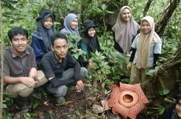 Bunga Rafflesia