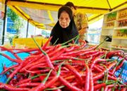 Pasokan Tersendat, Harga Cabai di Padang Kembali Terasa “Pedas”