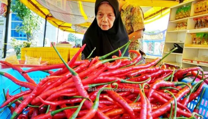 Pasokan Tersendat, Harga Cabai di Padang Kembali Terasa “Pedas”
