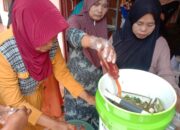Luar Biasa! Kelompok Wanita di Nagari Malalak Barat Ciptakan Pupuk dan Pestisida Organik dari Limbah Sirup