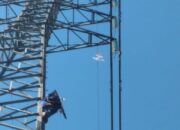 Awas! Jangan Main Layang-layang Dekat Jaringan Listrik, Nyawa Taruhanya