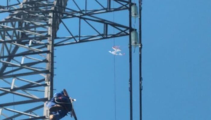 Awas! Jangan Main Layang-layang Dekat Jaringan Listrik, Nyawa Taruhanya