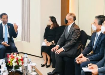 Temui Presiden Jokowi, Chairman Hyundai Motor Group akan Kembangkan Mobil Listrik di Indonesia