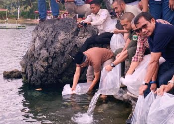 Wakil Gubernur Audy Joinaldy Tebar 4.000 Bibit Ikan Bilih di Nagari Sumpur Danau Singkarak