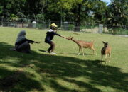 PT Semen Padang Ajak 20 Orang Penggiat Medsos Ikuti Program Bertemu Ruslam