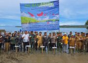 Peringati Hari Mangrove Sedunia, 4.000 Bibit Mangrove Ditanam di Sungai Pisang