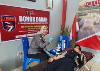 Donor darah