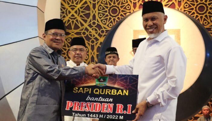 Presiden RI Kembali Berkurban 1 Ekor Sapi Raksasa di Sumbar, Ini Lokasi Pemotonganya