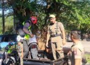 Seorang Siswa Diamankan Pol PP Padang! Saat Digeledah, Isi Tasnya Sangat Memiriskan