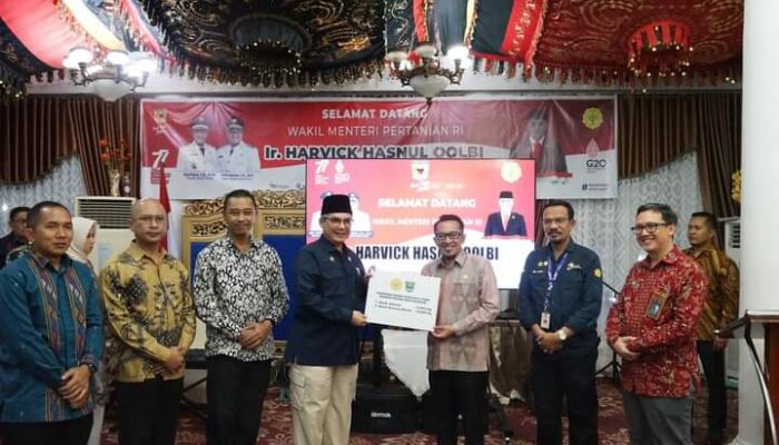 Tanah Datar Asuransikan Hasil Tani Padi dan Ternak Sapi/Kerbau, Wamentan RI Serahkan Bantuan