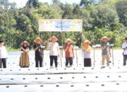 Turun Bersama Wabup, Bupati Benny Dwifa Laksanakan Field Day di Nagari Bulu Kasok Sijunjung