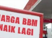 Isu Rencana Kenaikan BBM Pertalite Terjawab! Ini Penjelasan Presiden Jokowi