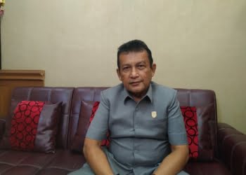 Wakil Ketua DPC Demokrat Kota Payakumbuh, Armen Faindal