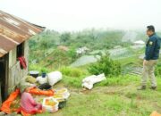 Dari Puncak Sikadunduang, Bupati Eka Putra Nikmati Keindahan Alam Laut Pariaman, Danau Singkarak dan  Sawah Bertingkat di Lereng Gunung Merapi