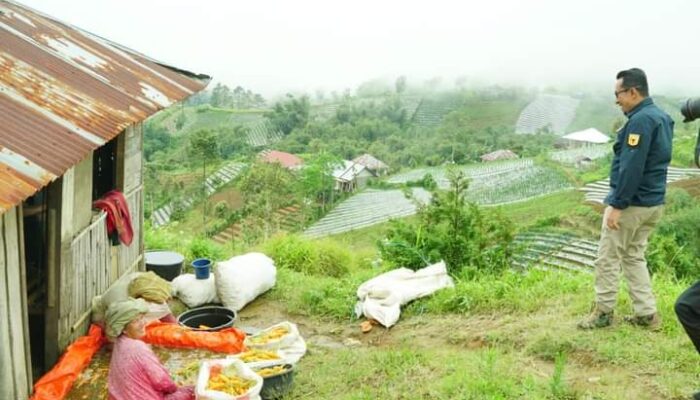 Dari Puncak Sikadunduang, Bupati Eka Putra Nikmati Keindahan Alam Laut Pariaman, Danau Singkarak dan  Sawah Bertingkat di Lereng Gunung Merapi