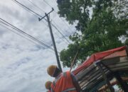 Pastikan Kenyamanan Pelanggan, PLN Rutin Bersihkan Jaringan Listrik dari Pepohonan