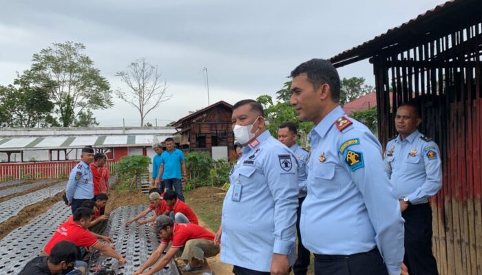 WBP Lapas Bukittinggi Tanam Bibit  Bawang Merah di Lahan 1 Hektare