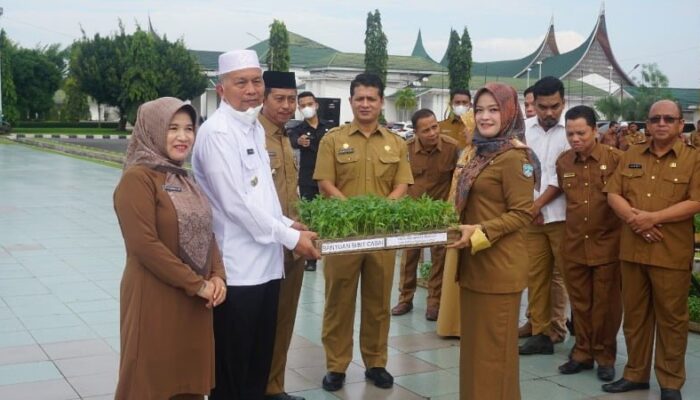 Tekan Inflasi, Pemkab Pasaman Barat Canangkan Penanaman Cabai