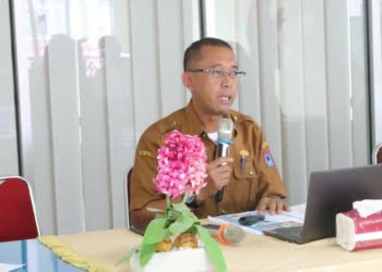 Kepala DPMPTSP Payakumbuh, Maizon