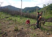 Di Pesisir Selatan dan Sijunjung, PT Semen Padang Tanam 5.670 Bibit Kaliandra