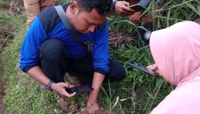 Waspada! Anjing Milik Warga Mudiak Sawah Diduga Dimangsa Harimau Sumatra