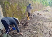 Sukseskan Ketahanan Pangan Nasional, Lapas Kelas II B Lubuk Basung Ajak Warga Binaan Tanam Jagung