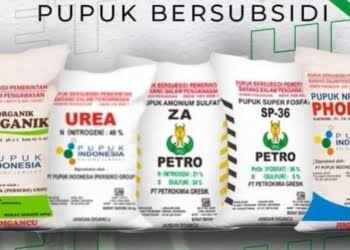 Pupuk subsidi