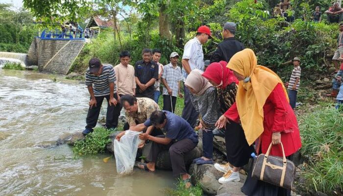 DPRD Bersama DKP Sumbar Tebar Benih Ikan di Bendungan Jorong Bukik Gombak
