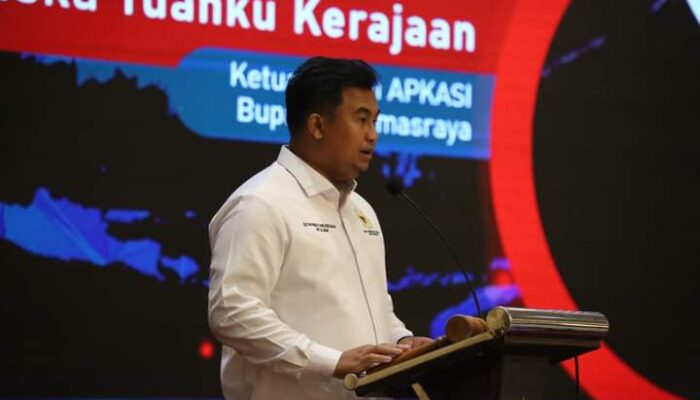 Penundaan Penghapusan Tenaga Honorer 2023, Apkasi Dukung Pemerintah Pusat Cari Solusi