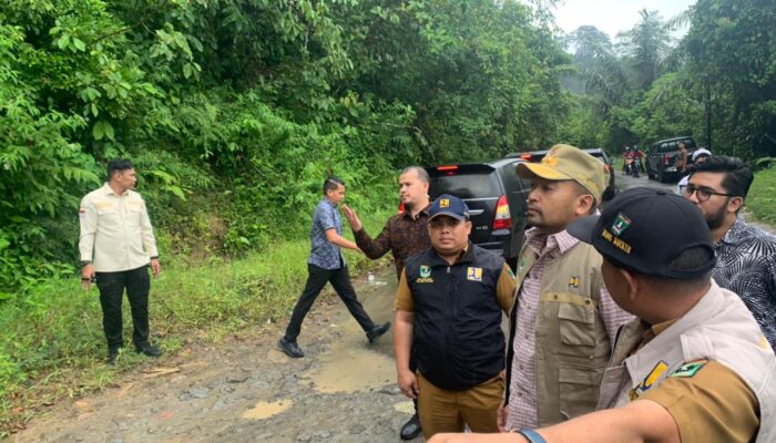 Kunjungi Pasaman, Wagub Audy Tinjau Perbaikan Jalan hingga Sosialisasikan Bantuan Benih Jagung