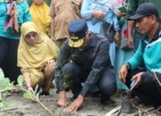 1.400 Bibit Pohon Cemara Laut Ditanam di Pantai Nagari Nyiur Melambai Pesisir Selatan