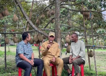Banjir Durian, Gubernur Mahyeldi Minta Pengusaha dan Petani Sinergi Agar Stabilitas Harga Terjaga