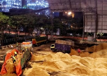 Program Transformasi Green PLTU PLN Sukses Hasilkan 394 GWh Listrik Hijau