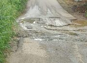 Ruas Jalan Sitiung Penuh Tambal Sulam dan Masih Berlobang