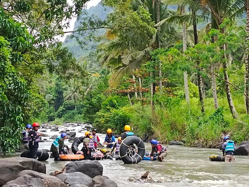 Arum jeram