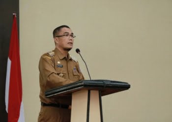 Pj Wali Kota Payakumbuh, Rida Ananda