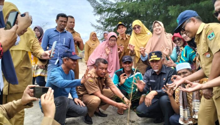 DKP Sumbar Terus Geber Penanaman Cemara Laut di Tujuh Wilayah Pesisir Sumbar