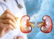 Sejak Akhir Juli, Sumbar Catat 12 Kasus Meninggal Akibat Gagal Ginjal Akut