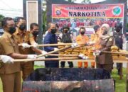 Polres Pasaman Musnahkan 39 Paket Narkotika Jenis Ganja Kering