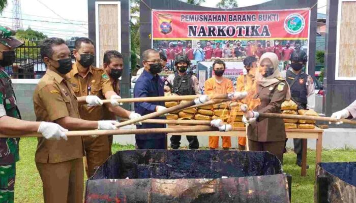 Polres Pasaman Musnahkan 39 Paket Narkotika Jenis Ganja Kering