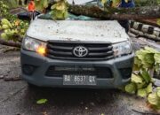 Satu Unit Mobil Pick Up Remuk Ditimpa Pohon Tumbang di Bukit Ambacang, Sopir Dilarikan ke RSAM Bukittinggi